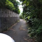 道路②