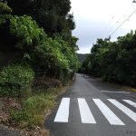 道路①